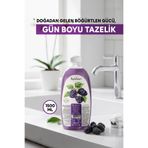 Papilion Böğürtlen Özlü Sıvı Sabun 1500 ml pH Dengeli Vegan, Nemlendirici El Temizliği Büyük Boy