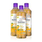 Papilion Limon Kokulu Hijyenik Ahşap Temizleyici 3X1000 ml
