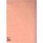 Papirüs Fon Kartonu 160GR 50X70CM 3 Adet – Somon