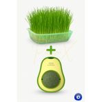 PAPYONPETSHOP Doğal Fileli Kedi Çimi Seti ve Avokado Catnip Kedi Nanesi Oyuncağı Kedi Otu 2si 1 Arada Set