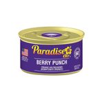 Paradise Air Berry Punch 42 gr Oda ve Araba Kokusu