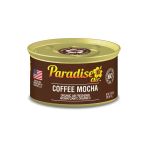 Paradise Air Coffee Mocha Oda Ve Araba Kokusu 42Gr