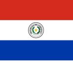 PARAGUAY ÜLKE BAYRAĞI 45x25CM DUVAR TABLOSU ÇERÇEVESİZ PVC TABLO