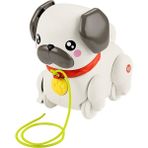 paraply HTW94 Fisher-Price Minik Dostumla Yürüyüş Kız Erkek Çocuk Oyuncak Eğitici Oyuncaklar - Çok Renkli