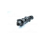 Parça World 038109101AH-WISCO VW CADDY GOLF5 A3 1.9 2.0TDI BLS 05- EKSANTRIK MILI CELIK 038109101AH