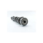 Parça World 070109101P-WISCO VW 5 2.5 TDI 03- EKSANTRIK MILI CELIK 070109101P