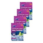 Parex Kendinden Kilitli Buz Torbası 196 Buz Küpü 4 Paket
