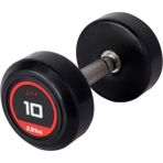 Park World Kauçuk Dambıl 10 kg