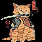 Parla 50x65 cm Savaşcı Kedi Sayılarla Boyama Seti Rulo Duvar Sticker