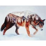 Parla 60x75 cm Kurt ve Atın Dostluğu Sayılarla Boyama Seti Rulo Duvar Sticker