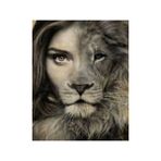 Parla Canvas Aslan Kadın Sayılarla Rulo 90x110 cm Renkli Boyama Seti Duvar Sticker