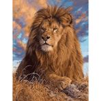 Parla Canvas Lider Aslan Rulo 100x140 cm Renkli Sayılarla Boyama Seti Duvar Sticker