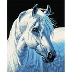 Parla Canvas Yıldız At Rulo 100x140 cm Renkli Sayılarla Boyama Seti Duvar Sticker