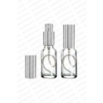 parlakcam 20ml Gümüş Renkli Full Metal Lüx Sprey Şişe, Parfüm Kolonya vb İçin Sızdırmaz Şeffaf Cam Şişe 1 Adet