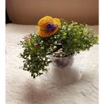 Parla'nın Atölyesi 0-3 Yaş Az Saçlı ve Saçsız Handmade Bebek Tokası Mor Çiçekli Sarı Şapka