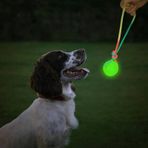 Parlayan Köpek Eğitim Diş İpi Oyuncağı 5 Cm