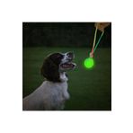 Parlayan Köpek Eğitim Diş İpi Oyuncağı 6 Cm