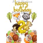 Parti Station Orman Hayvanları Konsept Parti Woodland 2 Yaş Doğum Günü Balon Set Sincap Rakun Kirpi Tilki Balon