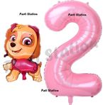Parti Station Paw Patrol Skye 1 Yaş Balon Ve Pembe Rakam Balon Doğum Günü Parti Set