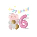 Parti Station Pembe Bulut 6 Yaş Balon Set PSPİNKBULUT
