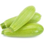 Paşa Tohumculuk 25 gr Kabak Tohumu