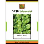 Paşa Tohumculuk Tunç Semizotu Tohumu 500 Gr. - 1 Adet