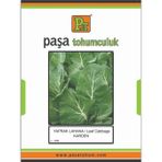 Paşa Tohumculuk Yaprak Lahana Tohumu (Karden) 10 gr X2 Paket