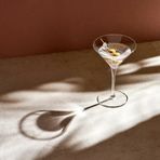 Paşabahçe 66114 Nude Vintage Martini Bardağı 290 cc 6'lı
