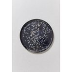 Paşabahçe Cosmos Tabak 28 cm - 1 Adet