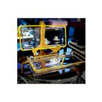 Paşabahçe ELİT HOME İKİLİ (2'li) Gold Detaylı Kristal Sunum Tabağı 68017g