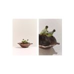 Paşabahçe Kuş Cenneti Mini Dekoratif Tabak Tekli 6x12 cm
