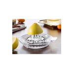 Paşabahçe Limon Sikacaği - Model Cam