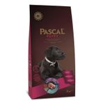 Pascal 3 kg Kuzu Etli Yavru Köpek Maması