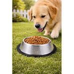Paslanmaz Çelik 22 cm. 500 ml. Gri Kaymaz Taban Kedi Köpek Mama Ve Su Kabı mt251