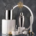 Paslanmaz Çelik Kokteyl Seti, Shaker, Buz Kovası, Jigger, Süzgeç, Muddler ve Karıştırma Kaşığı Dahil, Gümüş