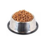 Paslanmaz Çelik Mama Kabı Kedi Köpek Metal Mama Su Kabı 500 ml (Gümüş)