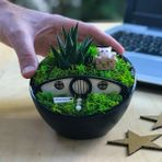 Paspasın Bahçeleri Kişiye Özel Siyah Inci Hobbit Bahçesi - Kedi Severler Için 1
