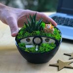 Paspasın Bahçeleri Kişiye Özel Siyah Inci Hobbit Bahçesi - Kedi Severler Için 3