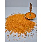 Pasta Vitrin Sprinkles Şeker Pasta Süsü Turuncu 100 gr