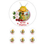 Pasta9 Arı Maya Yenilebilir Pasta Resmi Pirinç Kağıdından 6-8-10 Kişilik Pastaya Uygun 16 cm