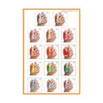 Pastel 13 ml 384 Oje