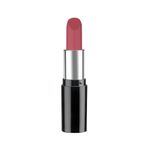 Pastel 524 4.3 gr Nude Ruj