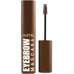 Pastel Maskara Eyebrow Profashion No:21