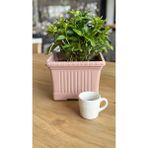 Pastel Pembe Ova Balkon Saksı No:2 – 41X16 cm Dikdörtgen Plastik Saksı