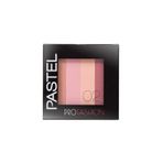 Pastel Profashion Colorist 02 Allık
