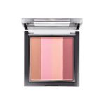 Pastel Profashion Colorist Blush No 2 Allık