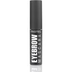 Pastel Profashion Kaş Maskarası Siyah Renkli Hacim Artırıcı Etki 24 ml