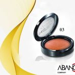 Pastel Profashion Terracotta Blush-On 03 Allık