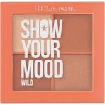 Pastel Show Your Mood Wild 441 Allık Seti