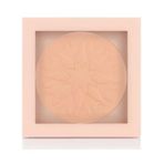 Pastel Show Your Purity No 101 Fair Powder 9.3 gr Pudra
